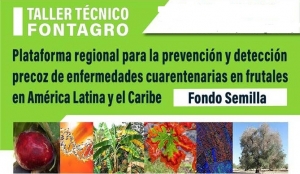Idiaf participa en taller para crear red fitosanitaria sobre manejo enfermedades cuarentenarias en frutales
