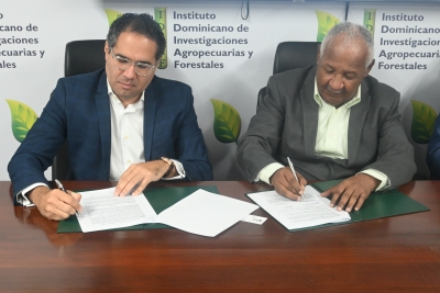 IDIAF y DR Cocoa Foundation establecen alianza estratégica para fortalecer el sector cacaotero dominicano