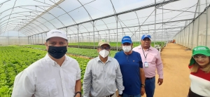 Idiaf busca optimizar producción de invernaderos en zonas bajas