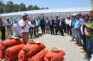 Misión agrícola coreana conoce proyectos cooperación en innovación tecnológica