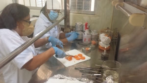 Idiaf coordina capacitación virtual en multiplicación masiva in vitro de nematodos fitoparásitos