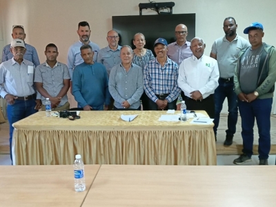 IDIAF Identifica problemas en el proceso de producción de habichuela y arroz, en San Juan