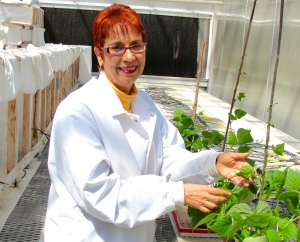 Conescyt reconoce investigadora del Idiaf Graciela Godoy de Lutz