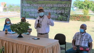 Idiaf con nuevas tecnologías en habichuela