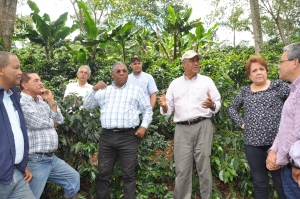 En Mahoma, Rancho Arriba, el Idiaf presenta variedades de café tolerantes a la enfermedad Roya