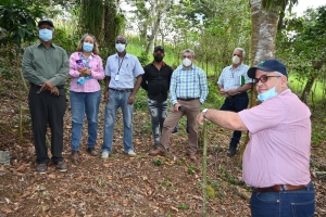 Reconocen avances y plantean estrategia de investigación en café para la región Enriquillo