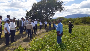 Realizan gira técnica del programa de multiplicación de semilla básica de habichuela