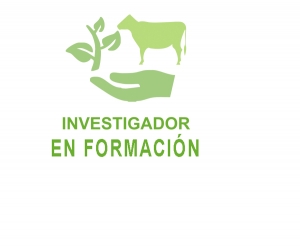 Investigadores en formación