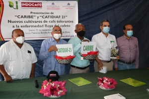 Idiaf presenta las primeras variedades dominicanas de café tolerantes a la enfermedad Roya del cafeto