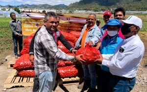 Idiaf y cooperación coreana entregan semilla de nueva variedad de papa