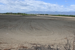 Idiaf rescata y rehabilita su Estación Experimental Azua