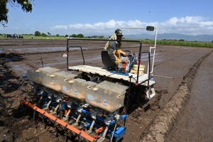 En día de campo en arroz, Idiaf y cooperación coreana presentan nuevas variedades y promueven mecanización