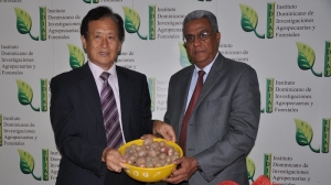 Idiaf recibe nueva variedad de papa