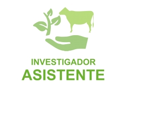 Investigadores Asistente