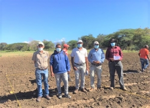 Idiaf apoya estudiantes de Ingeniería Agronómica UASD en trabajos de tesis de grado en guandul
