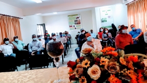 Definen prioridades de investigación del cultivo de habichuela