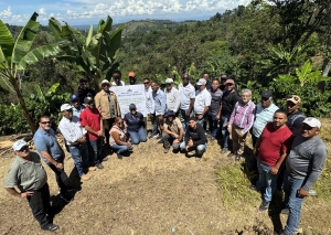 IDIAF celebra Día de Campo en café en Juncalito, Santiago, y presenta avances del cultivar Catidiaf 21